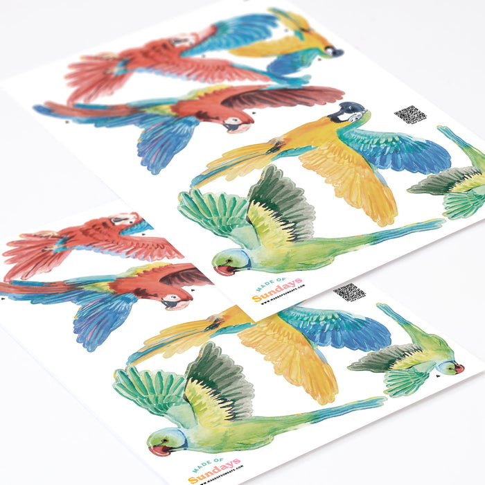 Tropiska papegojor väggklistermärken